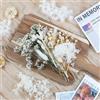 Larber Fiore Seccato per DIY Photo Props Vaso Matrimoniale Decor