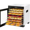 GHKWXUE Essiccatore per alimenti 6 vassoi in acciaio inox,di essiccazione di 4.8ft² 400W asciugatura più rapida,temperature comprese tra:86°F-194°F,per carne secca,erbe aromatiche,frutta e verdura