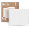 Stadler Form Filtro HEPA H11 per deumidificatore Lukas Pro, lunga durata fino a 1 anno, facile installazione del filtro e sostituzione del filtro