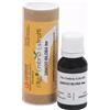 CEMON Srl FEE GINKGO BILOBA 15 ML
