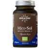 HIFAS DA TERRA ITA Mico Sol - Hifas da Tierra - 70 capsule - Integratore per il supporto del sistema immunitario