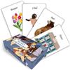 Red Wheel/Weiser Pocket Lenormand (Cards)