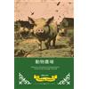 George Orwell Animal Farm Chinese Version (Tascabile)
