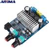 AIYIMA TPA3116 100W Scheda amplificatore subwoofer Home Theater Mini Amp TPA3116D2 Amplificatori di potenza audio Bassi DC12-24V