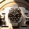 PAGANI DESIGN orologi meccanici da uomo orologio automatico di lusso per uomo luminoso orologio subacqueo in acciaio giappone NH35 orologio da polso 2023 nuovo