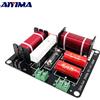 AIYIMA 1PC 400W Filtro Crossover Audio a 2 Vie per Altoparlanti, Divisore di Frequenza Tweeter/Bass per Altoparlanti Professionali KTV e da Palco 1500Hz
