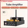 Douk Audio X1 HiFi JAN5725 Amplificatore valvolare Ricevitore Bluetooth5.0 MM Amplificatore fono per giradischi domestici Amplificatore di potenza APTX-HD 160W * 2