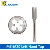 xcan Set di maschi e matrici M3-M20 Filettatura metrica per mano sinistra Rubinetto per flauto dritto Tap per macchina Tap Round Die 2 pezzi Set di strumenti