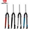 Bolany Forcella Rigida per Bici 26/27.5/29 pollici Freno a Disco Forcella da Montagna Tubo Dritto 28.6MM Forcella per Bicicletta MTB Leggera Opaca