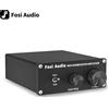 Fosi Audio Mono Amplificatore Subwoofer Amp 100W con amplificatore di potenza dei bassi per altoparlante passivo domestico M04