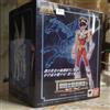Bandai Saint Cloth Ex Pegasus Seiya nuovo panno di bronzo da Saint Seiya Action Figure regalo di compleanno