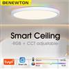 BENEWTON TUYA plafoniera Room Decor Led Light RGB APP controllo vocale Alexa Google Smart Lamp per la casa
