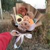 Sanrio Bouquet di Peluche Capibara, Simulazione di Capibara, Bambola Carina, Animali di Peluche, Regalo per San Valentino e Natale per la Fidanzata