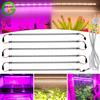 TRANYTON AC220V LED Coltiva La Luce 75leds LED Pianta Barra Luminosa Spettro Completo Phyto Lampada Per Piante Da Interno Fiori Sistema Idroponico