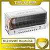 TEUCER M2-10 Dissipatore di calore a doppio tubo di calore M.2 2280 NVMe SSD Cooler con cuscinetto termico Accessori per computer