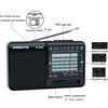 XHDATA D-328 Radio portatile a 12 bande AM/FM/SW tecnologia DSP lettore MP3 Slot per schede TF ricevitore USB Mini FM con Radio Bluetooth