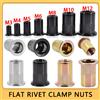 HUI JI 60/100 Pz Rivetto Piatto Dado Carbonio/Acciaio Inossidabile Pop Rivetti Filettatura Metrica Pannello Metallico Morsetto di Blocco Rivnuts In Alluminio M3 M4 M5 M6 M8