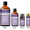 PHATOIL 1PCS Aromaterapia Olio Essenziale Per Diffusore 10ML/30ML/100ML Lavanda Menta Pepe Vaniglia Eucalipto Gelsomino Oli Aroma