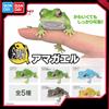 Bandai Originale Bandai Gashapon Grande Mappa Biologica Animale Rana Corna Lepidobatrachus Llanensis Simulazione Mobile Action Figure Modello