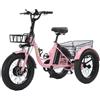 Daibot Triciclo elettrico da carico per anziani a tre ruote per adulti fuoristrada Fat Tire 500W 48V Bici elettrica a 3 ruote con 2 cestelli per uomini adulti