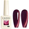 CANNI HEMA FREE TPO FREE 9ml Glitter Silver Cat Gel magnetico Smalto per unghie Galaxy Diamond Gel pigmentato a copertura totale per unghie