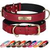 Didog Collare per cani personalizzato gratuito Collari per cani imbottiti morbidi Collana personalizzata per animali domestici in pelle PU regolabile per cani di taglia piccola, media e grande
