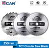 xcan Lama per Sega Circolare XCAN 10" 250mm, Lama in Carburo TCT, Foro 30mm, Disco per Taglio Legno 40/48/60/80 Denti, Lama per Lavorazione del Legno