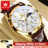 OLEVS 3609 NUOVI orologi da uomo Trend Grigio Cronografo multifunzionale Impermeabile Fasi lunari Orologio automatico con data Orologio da polso da uomo