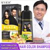 sevich 3 in 1 Tintura per capelli sana a base di erbe 500ml Shampoo per tinture per capelli neri per uomini Donne Shampoo per colori istantanei vegetali Zenzero Tinture per capelli neri