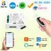 Diese WiFi Smart Switch AC 220V 2CH Relè a contatto secco 433MHz Telecomando wireless Trasmissione 50m funziona con Tuya, Google Assist, Alexa