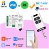 Diese Tuya WiFi Smart Switch DC 12V 24V 2 canali Relè a contatto secco Ricevitore Interruttore di controllo remoto wireless funziona con Smart Life, Alexa