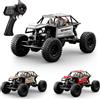 JIKEFUN 1/18 RC Auto da Arrampicata 4WD Fuoristrada Veicolo di Controllo Remoto RTR Rock Crawler Grande ruota 4x4 Modello di Camion Elettrico Giocattoli per I Bambini