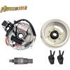 PowerMotor Moto Doppia Linea Magneto Statore Piastra Volano Estrattore Kit Per 50cc 70cc 90cc 110cc 125cc ATV Quad Pit Dirt Bike Modificato