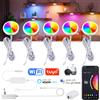 YSRSAI Tuya WIFI DC12V RGB Colore sotto le luci dell'armadio Dimmerabile Puck Light Festival Guardaroba Camera da letto Cucina per Alice Alexa Google Home