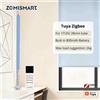 Zemismart Zigbee Motore per tende a rullo ricaricabili intelligenti per tubi da 17 mm 25 mm 28 mm Funziona con l'app Tuya Smart Life
