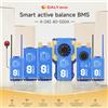 Daly Balance Bms 4S 12V 16S 48V per carrelli da golf con carrello elevatore elettrico 3S-24S 40A 200A 250A 300A 400A 500A BMS intelligente con WIFI/CAN