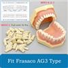 YOYADENT Modello di denti dentali per Frasaco AG3 Typodont Denti pieni 32 pezzi Cacciavite Pratica Riempimento Gingivae Denti Insegnare Formazione