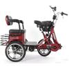 Daibot Triciclo elettrico per adulti per passeggero con sedile 48V 400W Famiglia bici da città elettrica pieghevole con cestino batteria rimovibile