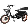 Daibot Nuovo triciclo elettrico familiare per adulti con sedile posteriore 750W48V, bicicletta elettrica a 3 ruote, 2 posti per anziani, bici elettrica.