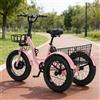 Daibot Triciclo elettrico per anziani da 20 pollici, 500W, 48V, con cestino, 3 ruote, rosa, bici elettrica da carico per adulti, bicicletta elettrica per donna