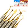 Tyceen Set di 6 Spatole per Riempimento in Resina Composita Dentale con Manico Spesso e Testa Placcata in Titanio, Strumenti per Odontoiatria