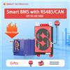 Daly Smart BMS 4S LiFePO4 12V 8S 24V 16S 48V 100A BMS Bluetooth CANBUS RS485 Scheda di Protezione Batteria 3.2V per Scooter E-bike