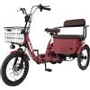 Daibot Bicicletta elettrica a 3 ruote da 650W 48V per adulti, bici elettrica pieghevole da 18 pollici a 2 posti per anziani, triciclo elettrico con cestino