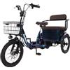 Daibot Bicicletta Elettrica per Adulti da 18 Pollici 650W 48V a 3 Ruote Pieghevole con Sedile Passeggero e Cestino, Triciclo Elettrico per 2 Persone, Ideale per Famiglie e Anziani