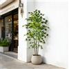 Kmitang Albero di acero finto grande da 70-140 cm, piante di palma tropicali artificiali, foglie di acero in seta, pianta di fico finta per decorazioni da giardino e casa
