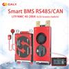 Daly Smart BMS 4S 12V 8S 24V 13S 14S 16S 48V 40A 60A 100A 150A 200A NMC LFP BMS con Schermo LCD, Interruttore a Chiave, RS485 e CANBUS