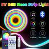saimili Striscia LED RGBIC Neon 5V Dream Color, Alimentata via USB, Sincronizzazione Musica Bluetooth APP, Luce a Corda per Feste, Natale, Lampada d'Ambiente per Camera da Letto