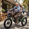 Daibot Biciclette Elettriche a 3 Ruote per Adulti, Uomini e Donne, Bici Elettrica Fat Bike da 24 Pollici, 750W 15AH, Potente Bicicletta Elettrica con Cestino Portaoggetti