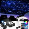 VASTFIRE Kit Cielo Stellato 16W Split Starlight, Luci a Fibra Ottica RGBW per Tetto Auto con 1/2 Teste Luminose, Controllo APP/Telecomando