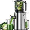 LINKChef Estrattore di Succo Automatico a Freddo 1.8L 250W Senza BPA con Condotto di Alimentazione da 130mm per Verdure e Frutta Intere, Spremiagrumi a Masticazione
